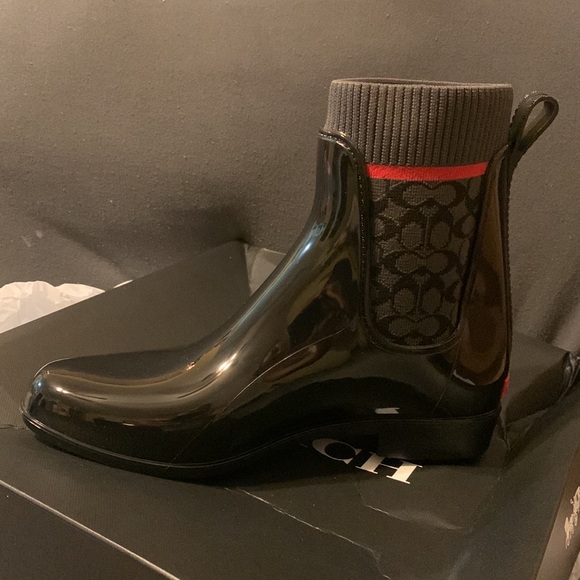 Coach boats - Picture 3 of 5